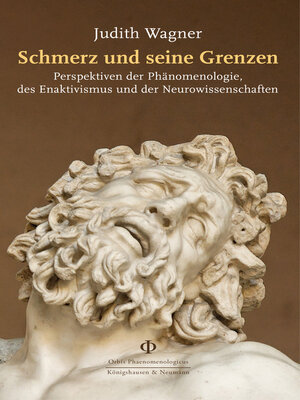 cover image of Schmerz und seine Grenzen